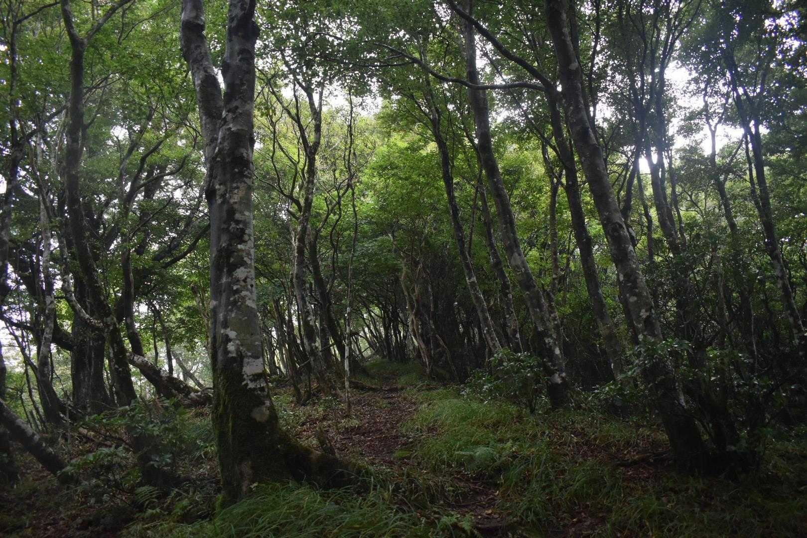 霧が取れました。