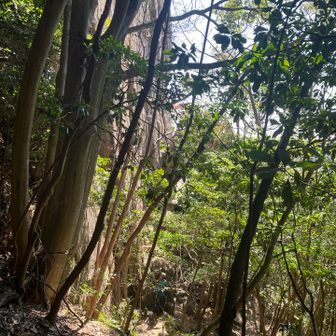 岩登りしてる人がいる