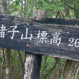 ６座目ゲット‼︎   猪子山✨