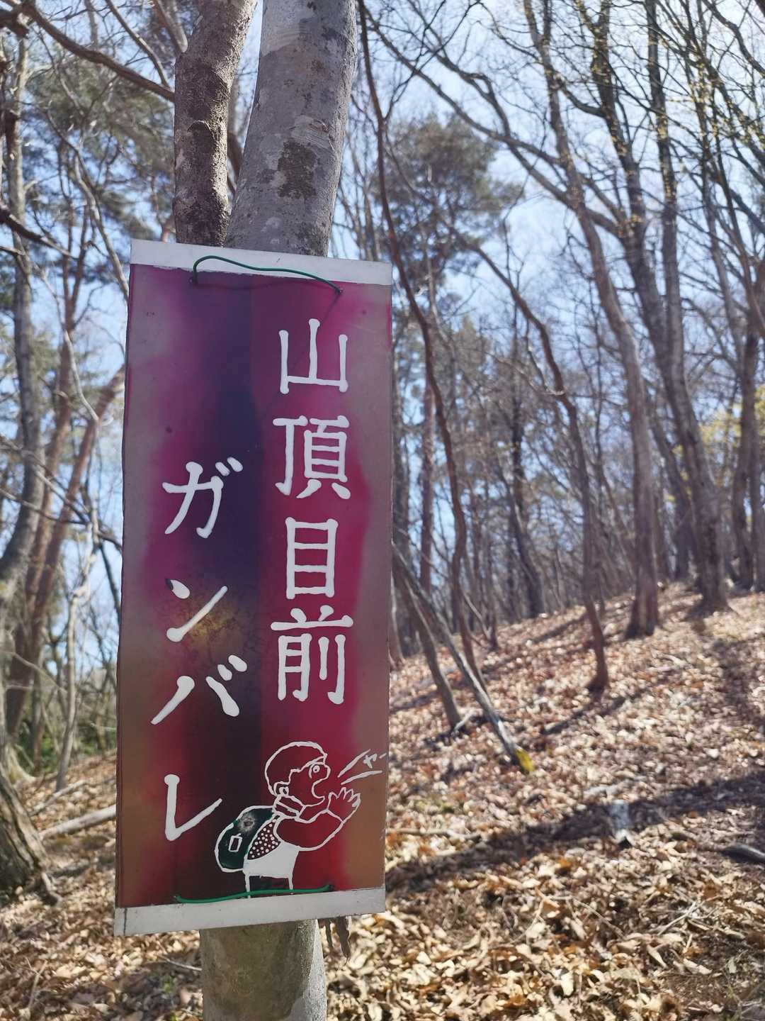 きんに君による激励