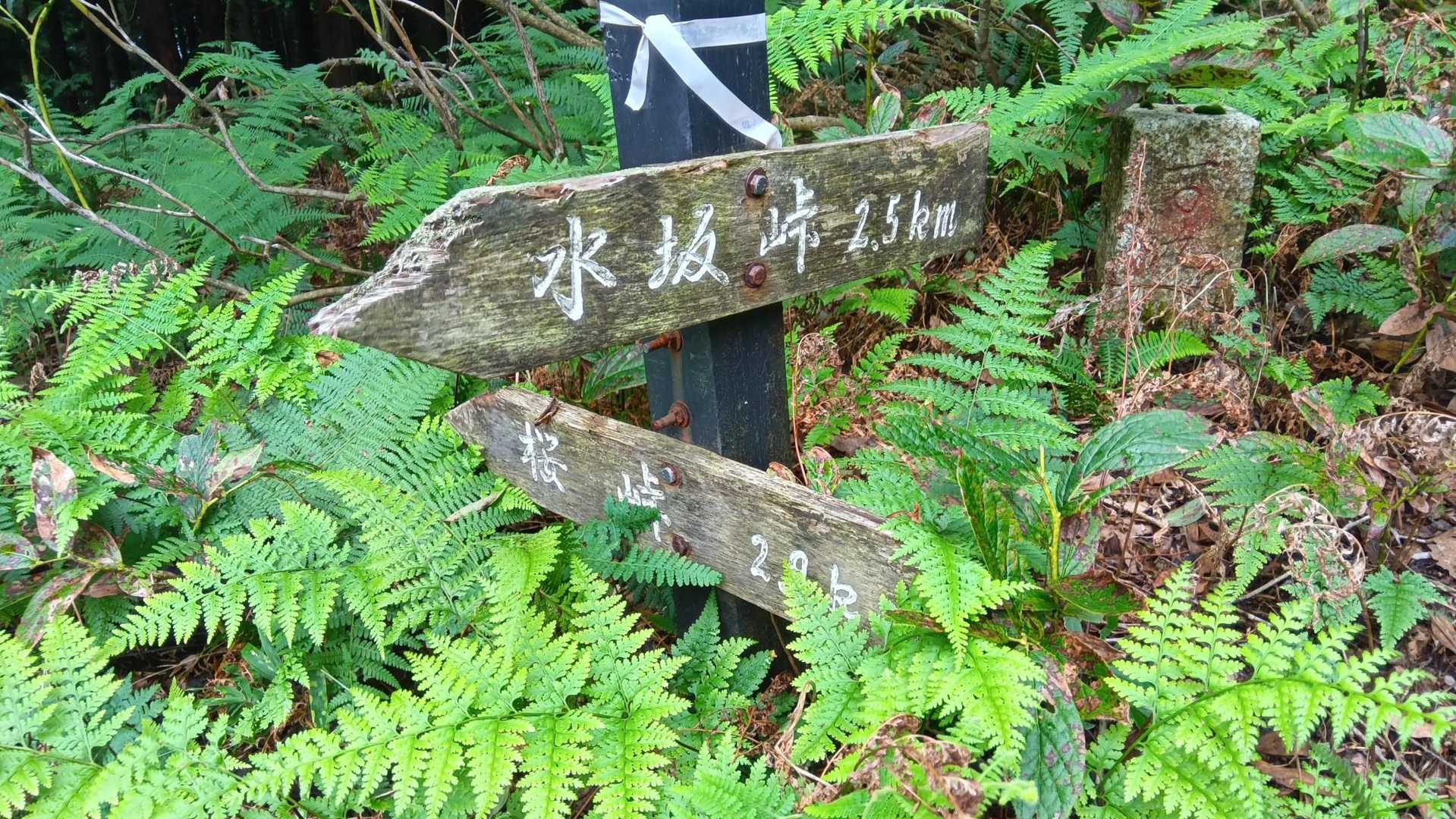 水坂峠分岐😊