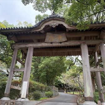 登り始めは雨は降っておらず、近所の小学生さんが遊びまわっていたんですけどね…