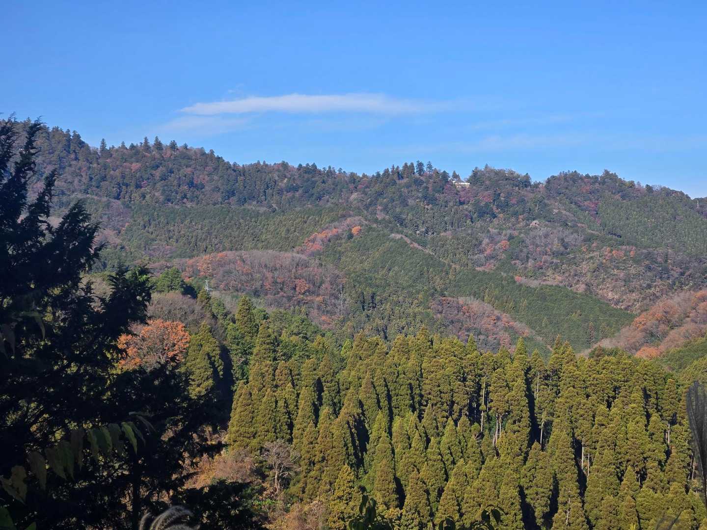 草と山 高尾山口駅-草戸峠-草戸山 往復コースの地図・登山ルート・登山口情報