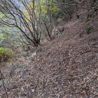 岬を超えてからがわかりづらい
ピンテを見落とさないで
沢のそばから、これ道？というところを上がります