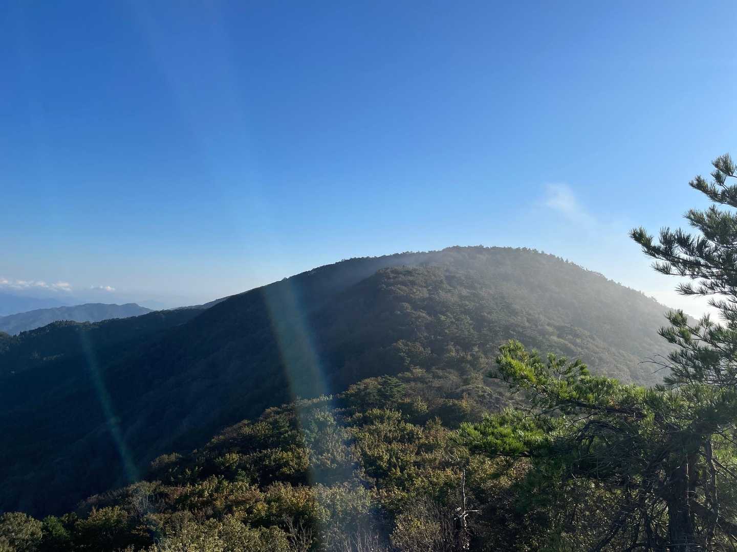 鳩ヶ峰-大江山-鍋塚 周回コースの写真