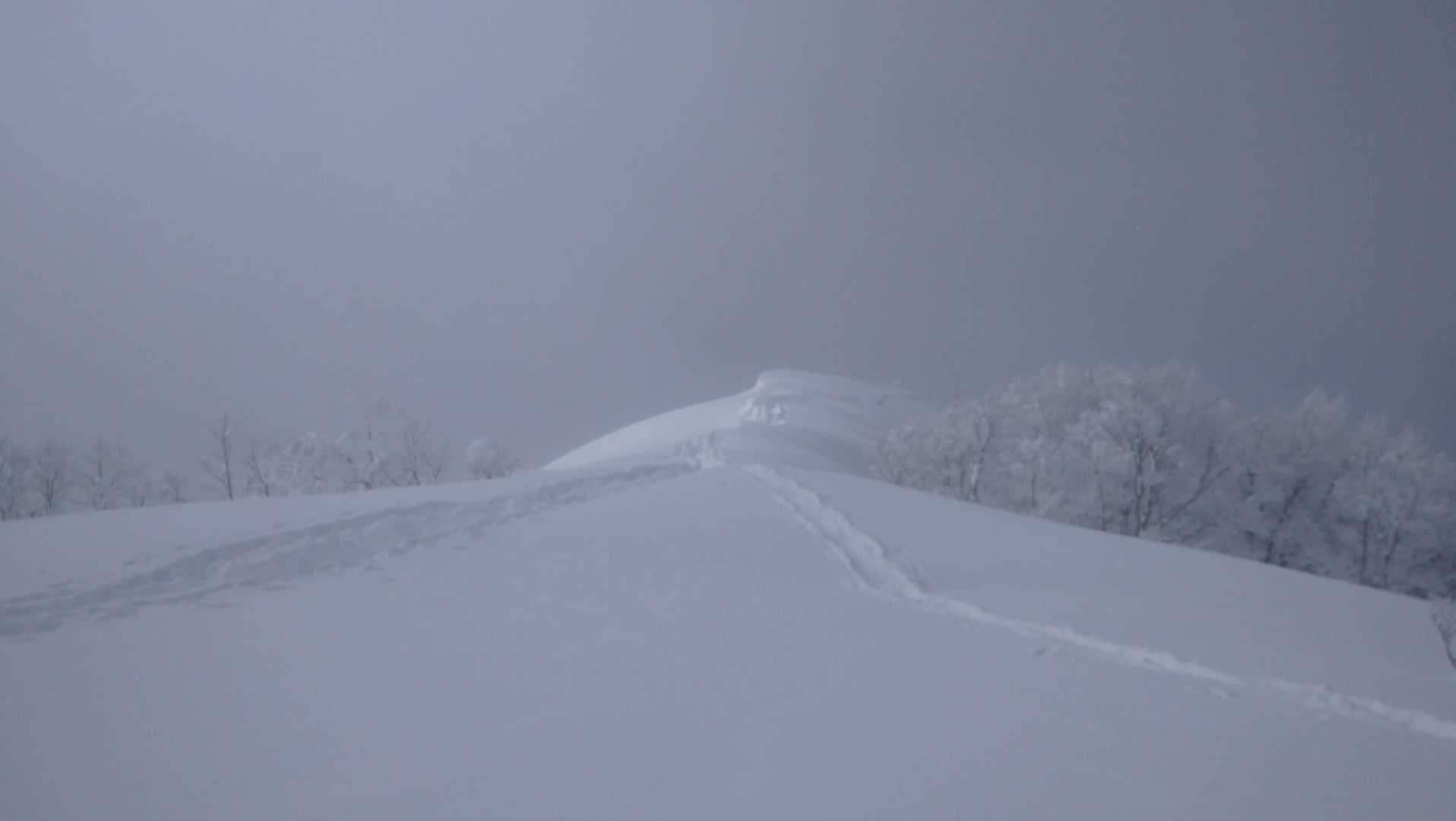 取立山 往復コースの写真