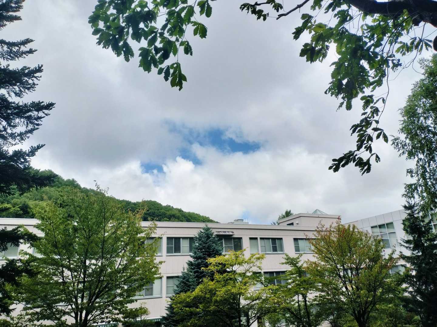 少し青空ですが、なんせ風が強い💦