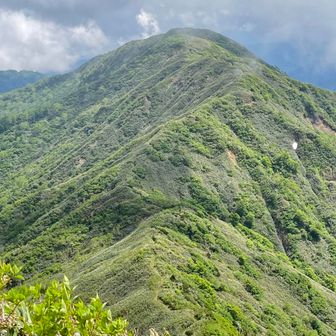 陽光が山肌を照らし出し、午前中のグレー🩶の世界を緑💚のパノラマに変えてくれました😀
ダイナミックな稜線歩き🏃　
いつしか気持ち悪いのは靴🥾の中だけに仕舞い込み、晴れた心で気持ちよく稜線を辿ります✨
