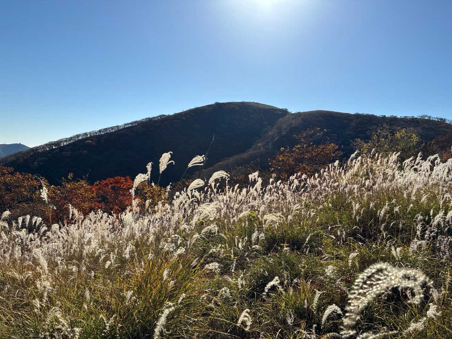 秋やね🍂