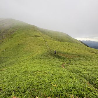 だんだん明るくなってきました
