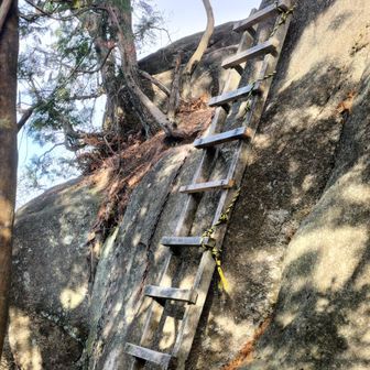 下りで左側に足乗せたら梯子が大きく左に傾いて咄嗟に松にしがみついて堪えた。
岩から落ちると思った…。
久しぶりの危ないヒヤリハットで暫く足震えてた！
