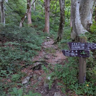 神社を抜けて、すぐ下宝珠越方面へ。ここから一気に登山道っぽくなりました。