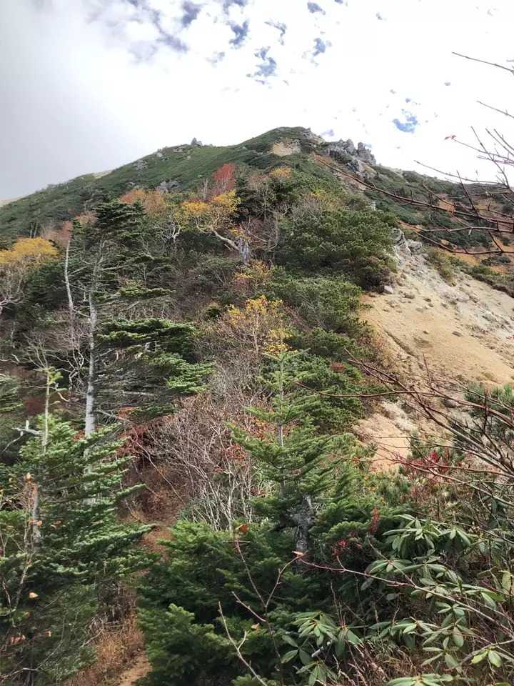 越百山の写真