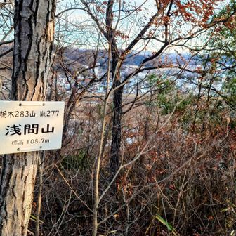 地図では浅間山の富士山のようだ🗻