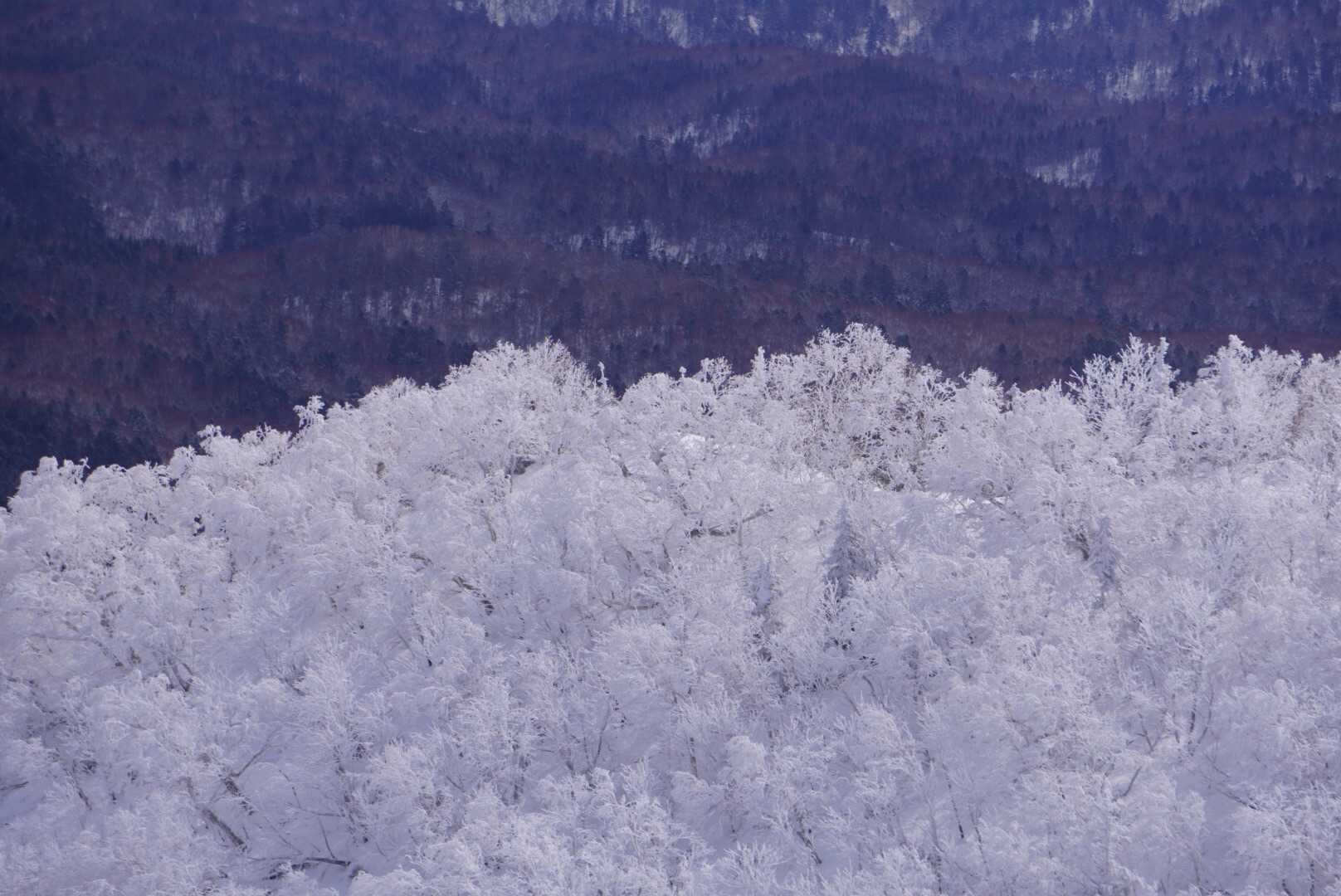 もう一枚