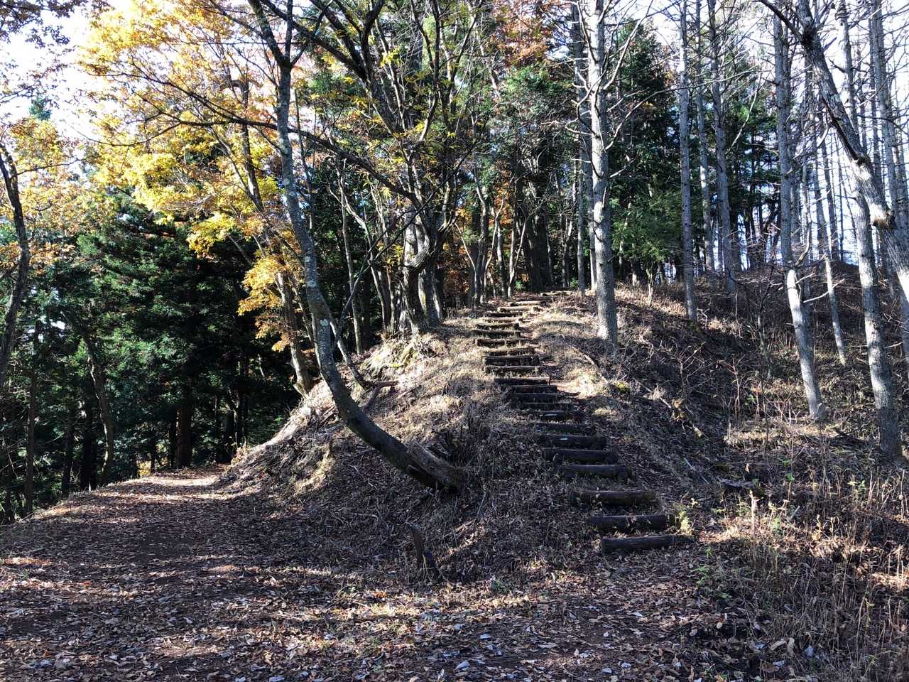 足和田山-三湖台-紅葉台入口バス停 縦走コースの写真