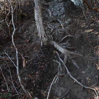 下りは良かったが登り返しはきつい