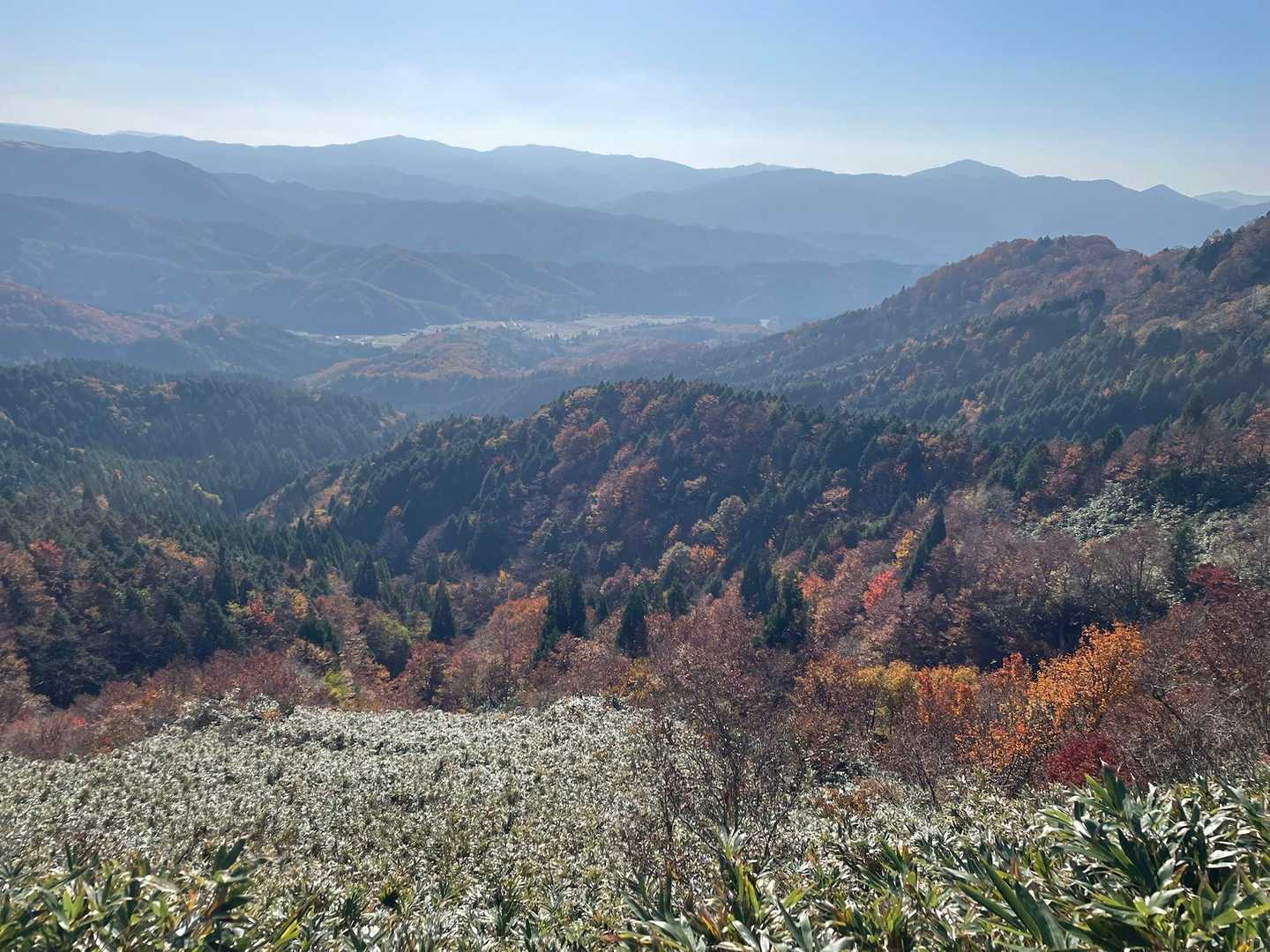 霞んで紅葉がうまく撮れない
