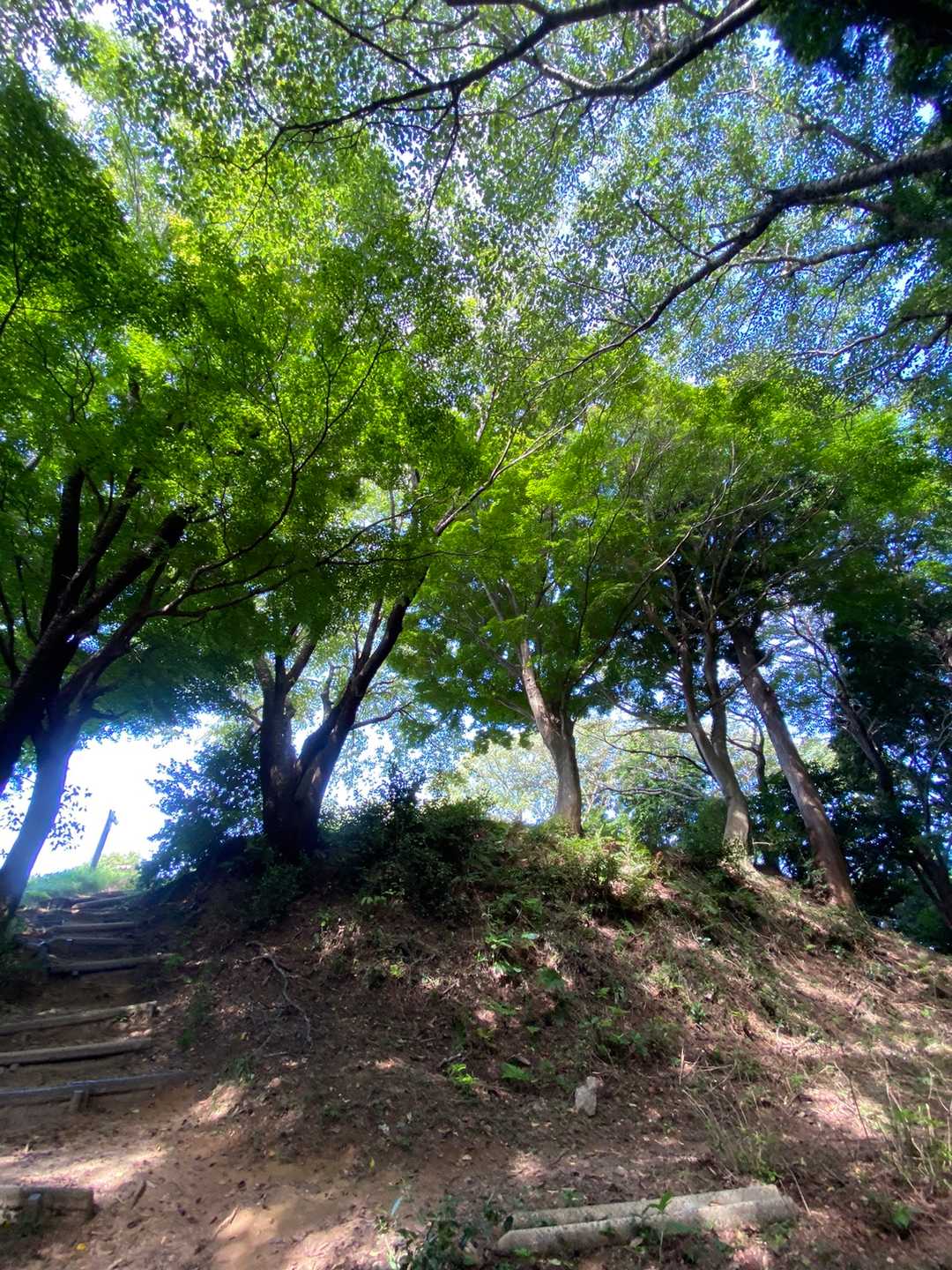 宮路山頂上はすぐそこ。
