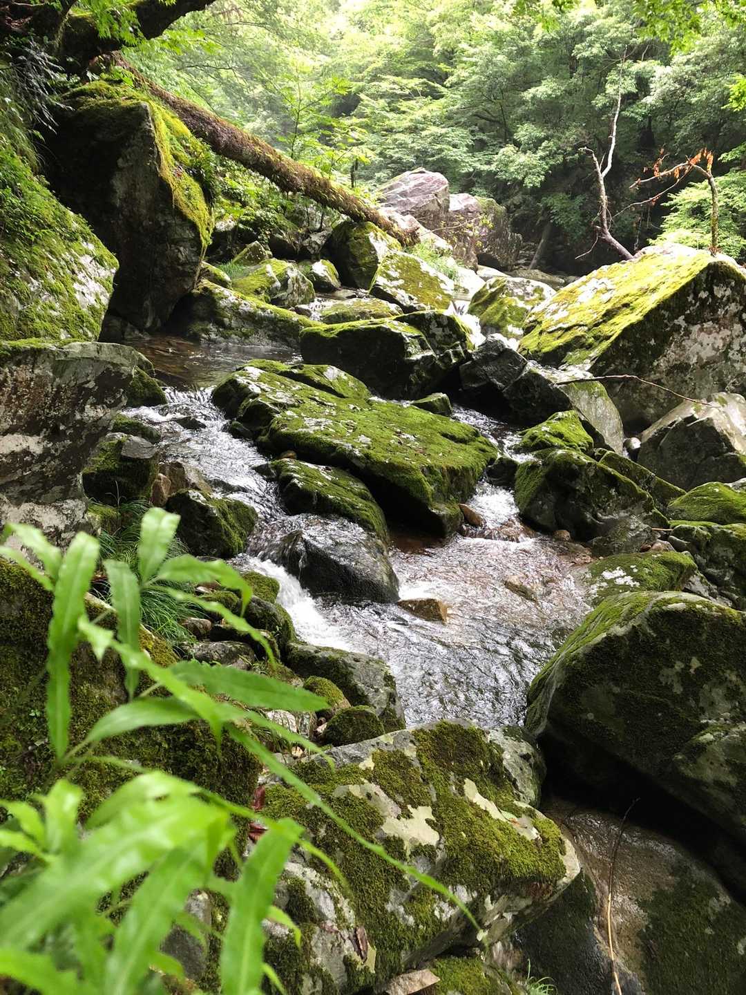 前日の雨により、水量がすごい😳