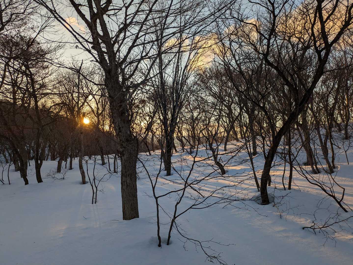 おはようSUN☀