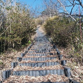 天空エリアまでの最後の階段