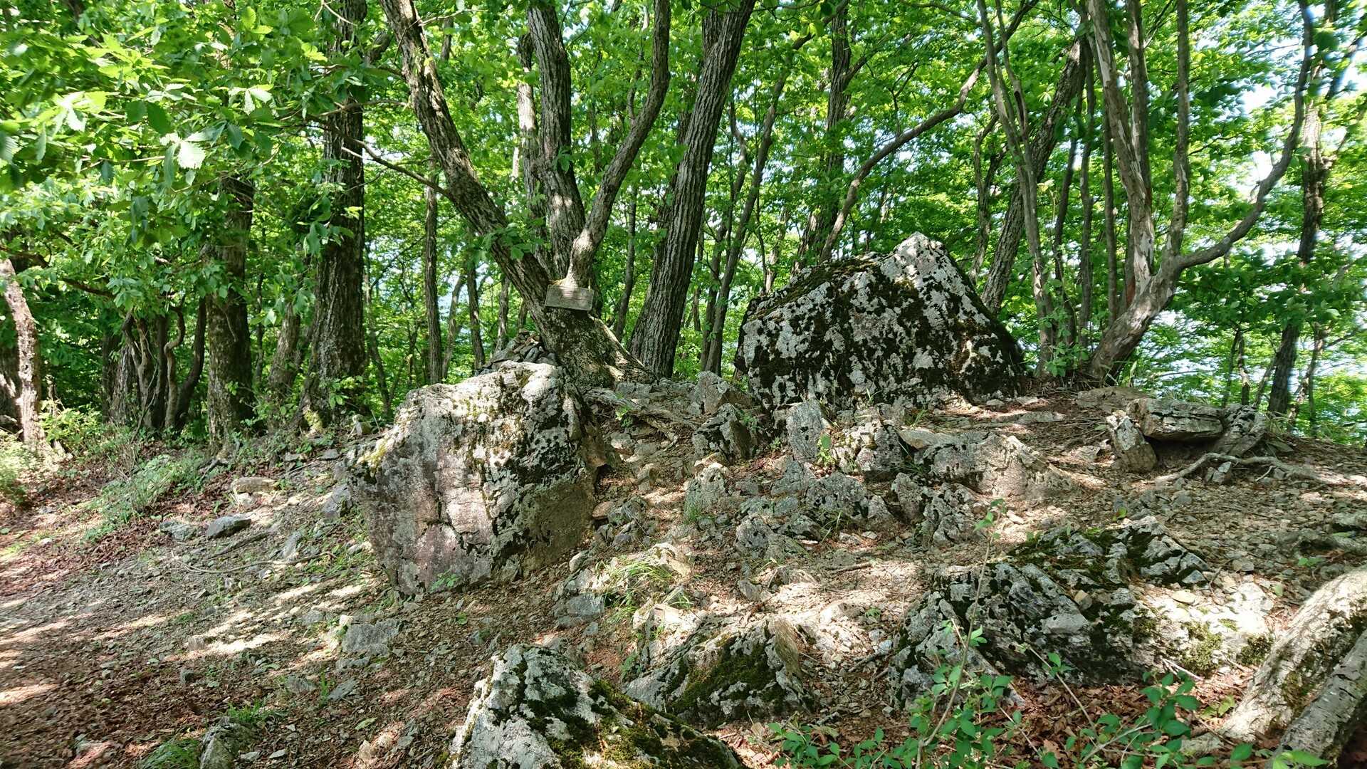 蔦岩山の写真
