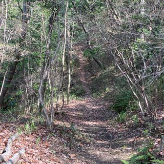 こっち行ったら間違えた