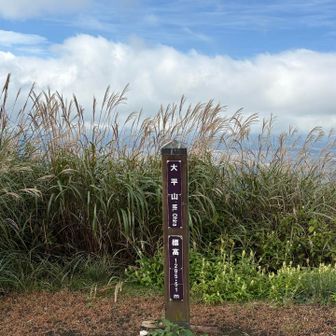 大平山では結構人がいた