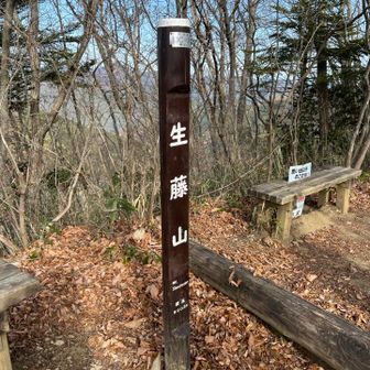 生藤山