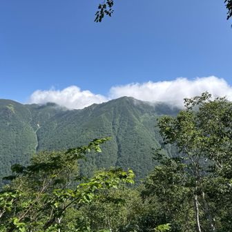 登山道はひたすら急登🥵
標高1500mくらいでやっと展望開けて北戸蔦別岳かな❓😲