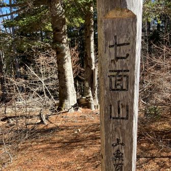 展望は無く静かな山頂
希望峰は今回は行かない