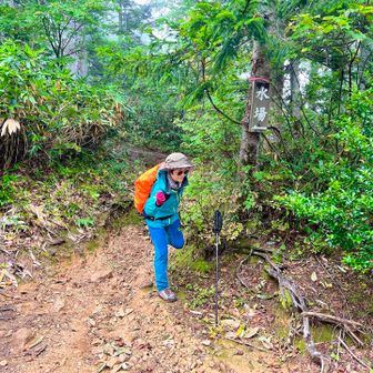 約１時間で水場分岐まで戻ってきた
登山口まであと約１時間…
あと約半分…
先はまだ長い🐇🐢💦