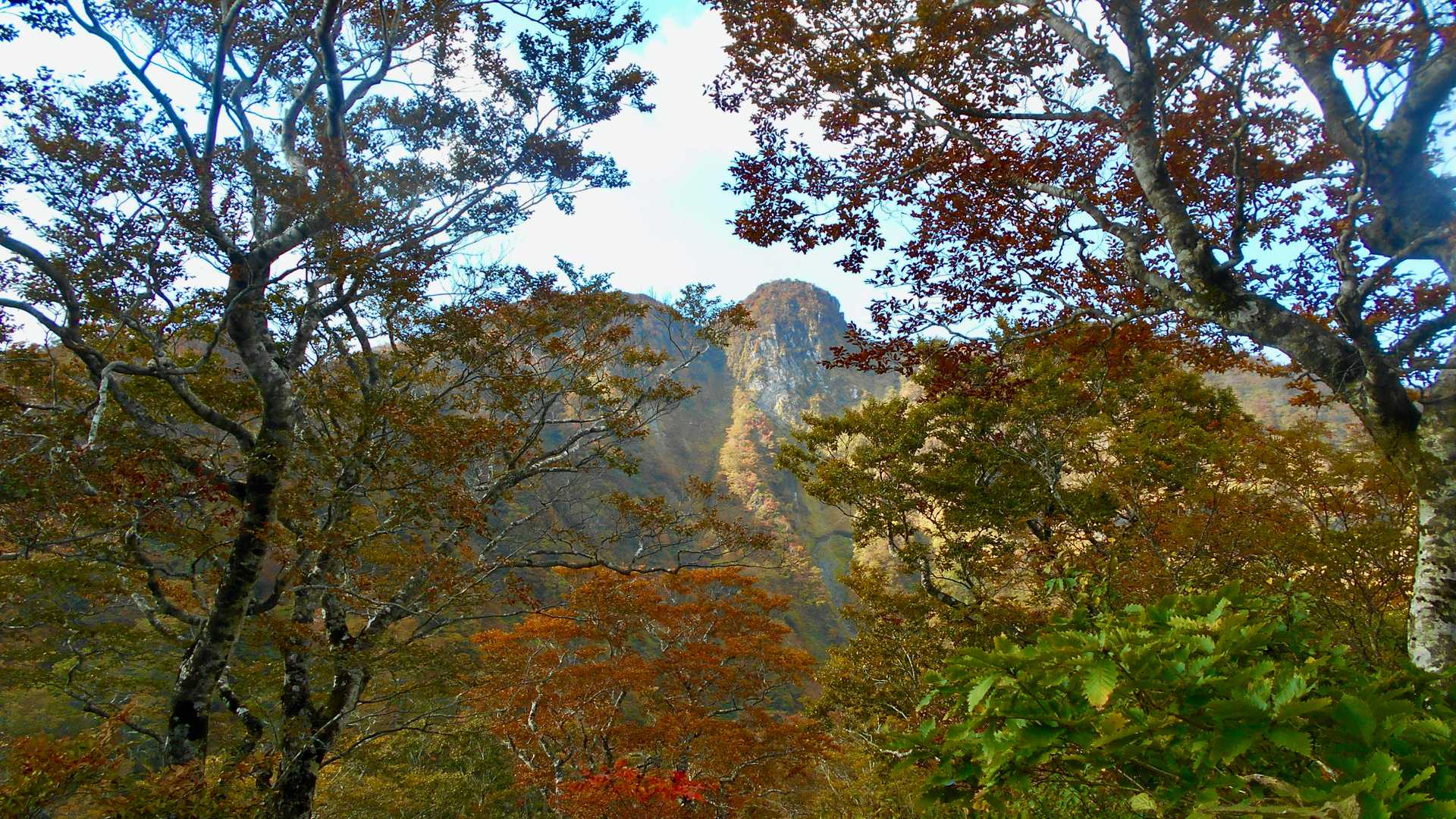 紅葉する木々の間から見える烏。
ワクワクしてきます。