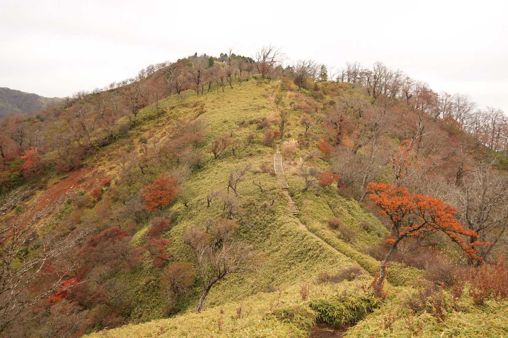 大倉バス停-観音茶屋-堀山-花立ノ頭-塔ノ岳-日高-竜ヶ馬 往復コースの写真
