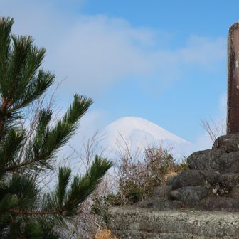 ！！！
足柄峠で階段を登ってみたら富士山が現れた！
迂闊にも感動したのでクソポイント-5