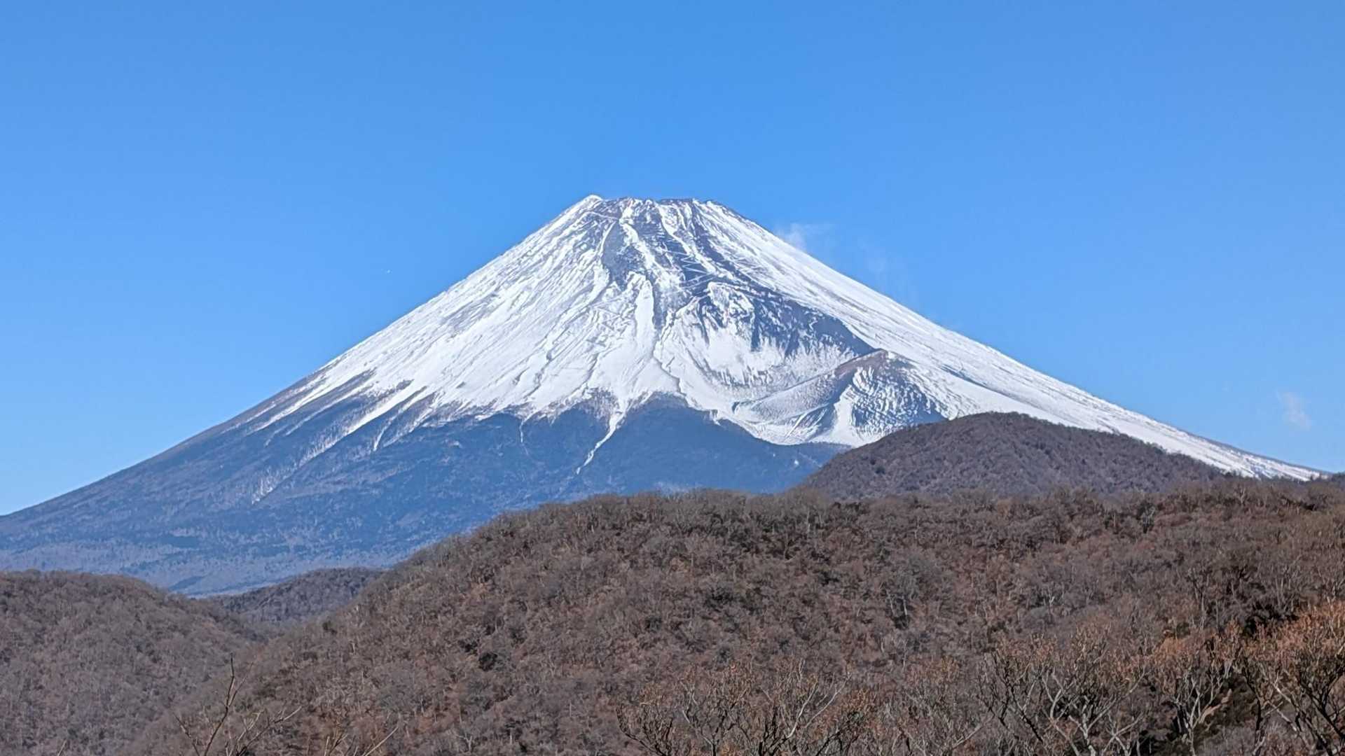 愛鷹山 周回コースの写真