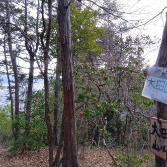 大田山🗻少し先が眺めよし🫡
