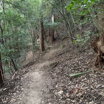 上野道との分岐を過ぎる。
途端に登山者とのすれ違いが減る。
ケーブルカー客が多かったのか？
上野道からアプローチの登山者が多いのか？