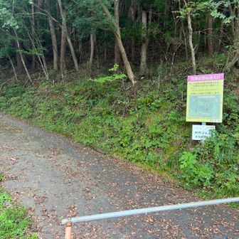 ここからは歩きます