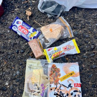 大平山⛰️でお昼にします。その後は、各自が各地から持ち寄ったお菓子でティータイム🫖
