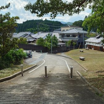車道歩きで下山してきました。
車止めがあって車は入れないですね。