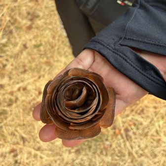 メンバーさんがメッチャ偶然シーダーローズを見つける🥰
ホンマに凄いです👏
ヒマラヤスギの下で最近相互フォローした「藤」さんと偶然お会いしました🤗