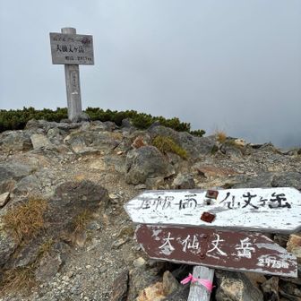 大仙丈ヶ岳
ガスに包まれていた