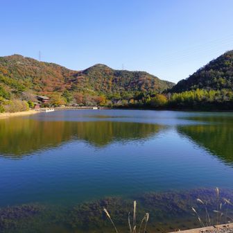 地知行池。中央奥には少年自然の家。