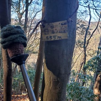行きに通らなかった日影山へ。
標識がこんなに小さいとは思わずスルーしてYAMAP見ながら戻って写真撮りました🤭
本ルートに戻る道もちょっとわからなくて、へんてこな道を下りました…💦