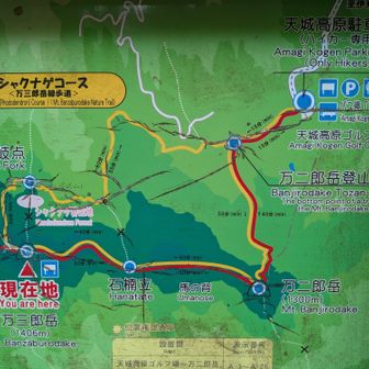 来た道を戻ります。