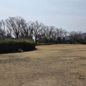 山頂は広場になってます💚
ベンチもあり休憩されてる方が何組かいらして