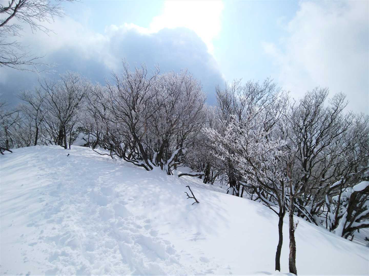 霊仙山権現山登山口-権現山-ホッケ山-小女郎峠 往復コースの写真