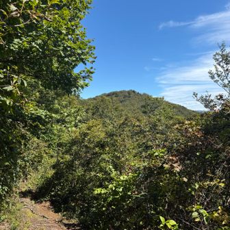 さて斑尾山へ戻りましょう🏃‍♂️